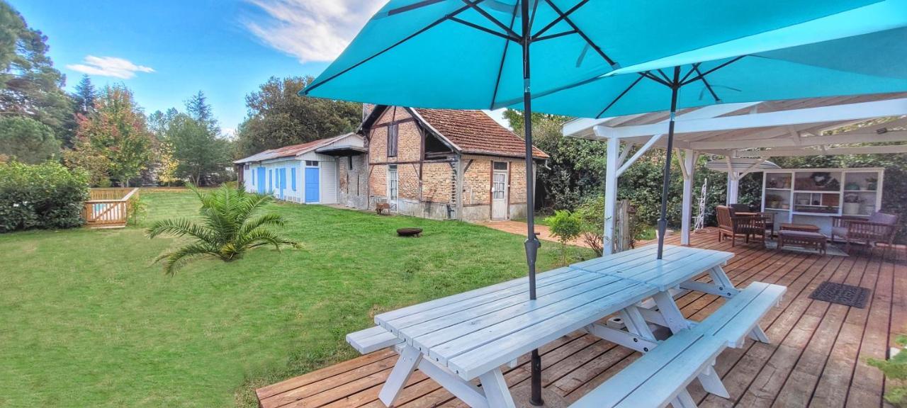 Charmante Maison Dans Les Landes X 10 Avec Piscine Et Salle D Escalade Lue Zewnętrze zdjęcie