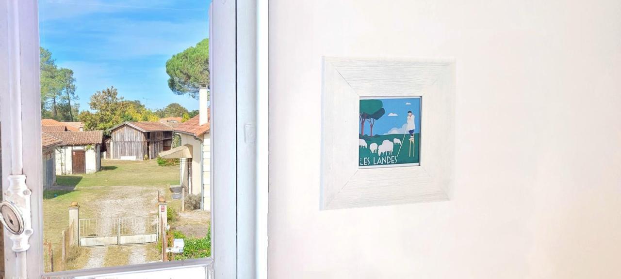 Charmante Maison Dans Les Landes X 10 Avec Piscine Et Salle D Escalade Lue Zewnętrze zdjęcie